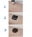 colorshield protector3.png