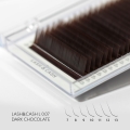 Rzęsy Sculptor Lash&Cash Dark Chocolate L.jpg