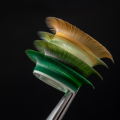 Rzęsy Sculptor Lash&Cash OLIVE SHADES 4.png